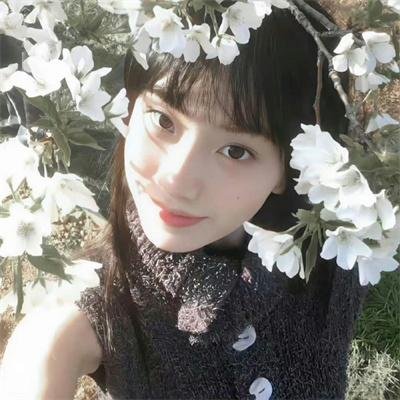 隔篱屋有宝